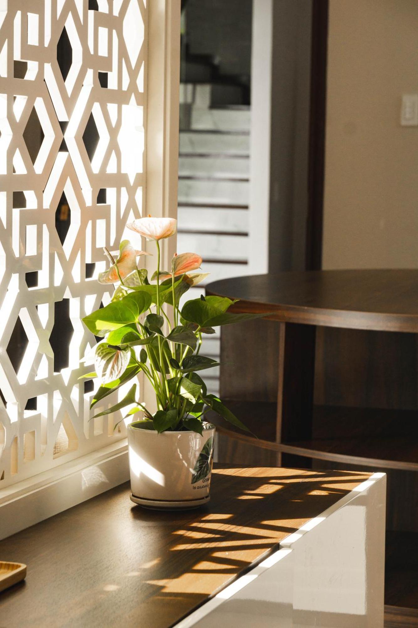 فندق Shalom House _ باو لوك المظهر الخارجي الصورة