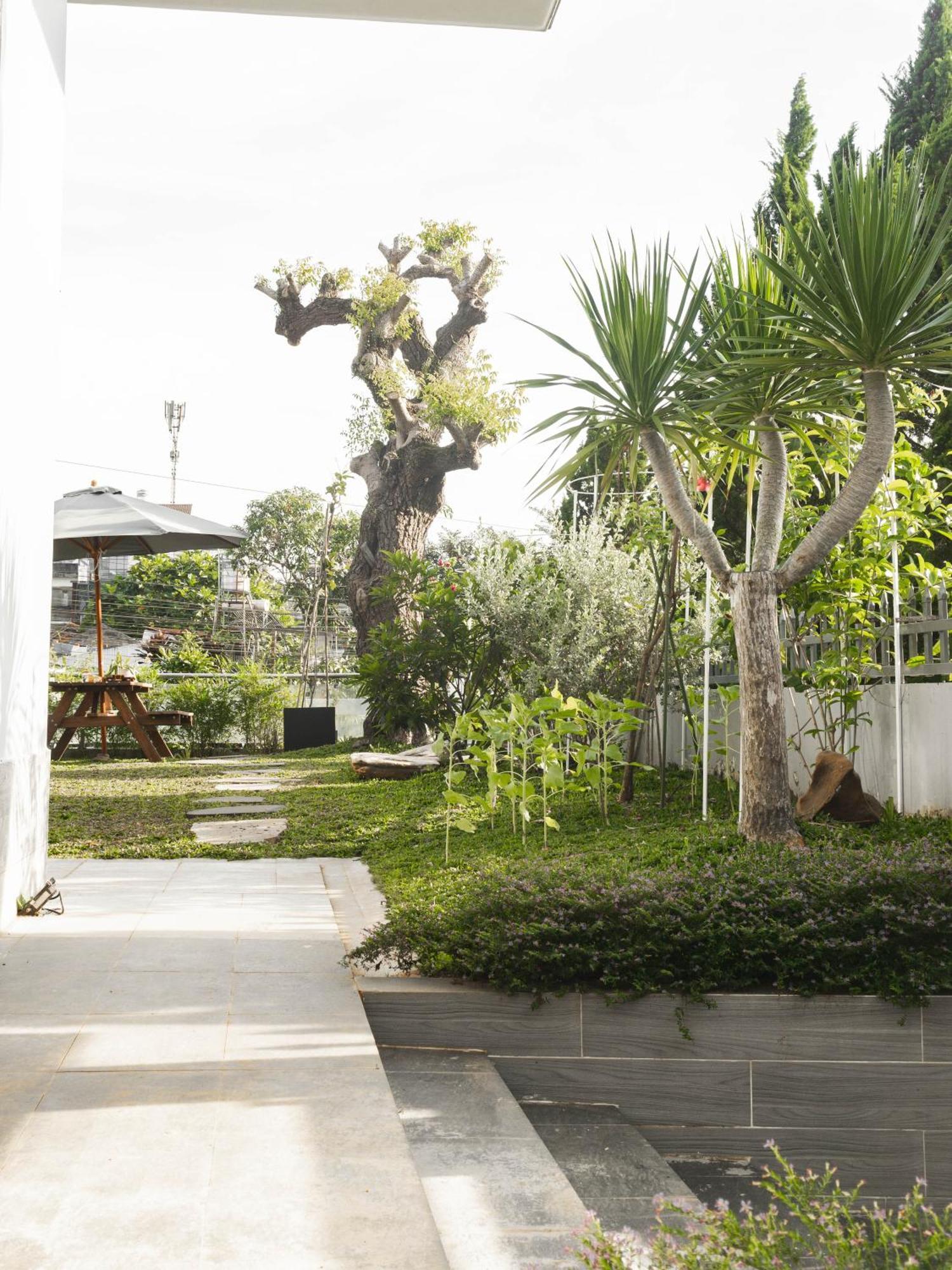 فندق Shalom House _ باو لوك المظهر الخارجي الصورة